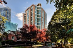 802-1111 Haro Street  Vancouver, BC V6E 1E3