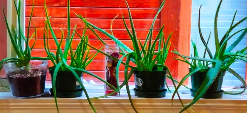 1072 55Th Avenue E, Vancouver, BC 