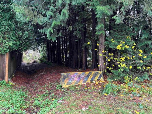 1791 Langan Avenue, Port Coquitlam, BC 