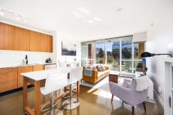 318-221 Union Street  Vancouver, BC V6A 0B4