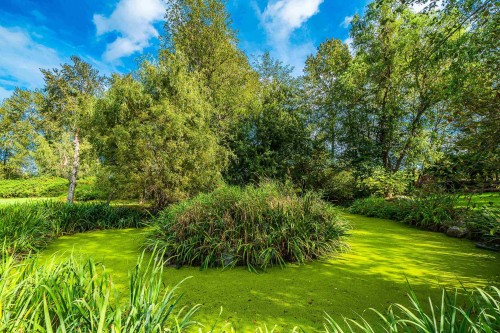 9260 Sidaway Road, Richmond, BC 
