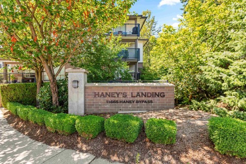 313-11665 Haney Bypass, Maple Ridge, BC 