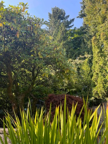 539 Newcroft Place, West Vancouver, BC 