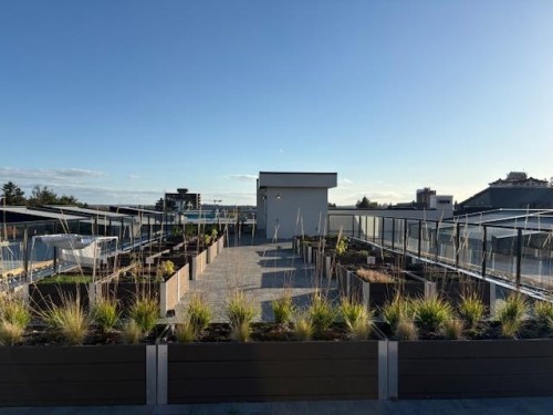 301-12143 223 Street, Maple Ridge, BC 