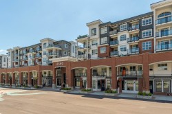 3313-2180 Kelly Avenue  Port Coquitlam, BC V3C 0S4