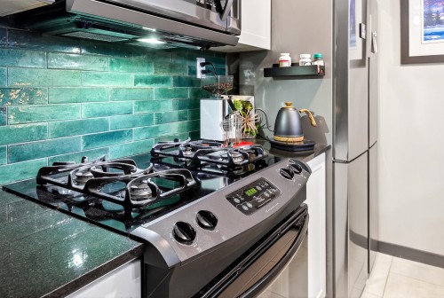 1101-7178 Collier Street, Burnaby, BC 