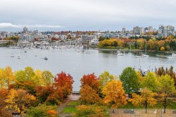 1003-1483 Homer Street  Vancouver, BC V6Z 3C7