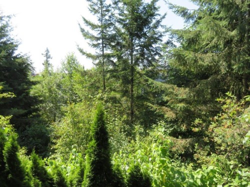 404-9339 University Crescent, Burnaby, BC 