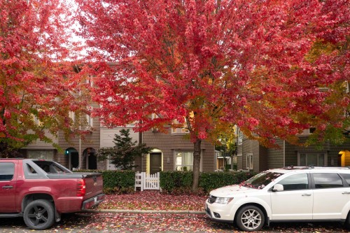 129-2418 Avon Place, Port Coquitlam, BC 