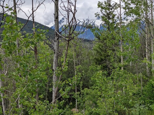Lot 1 Eagleridge Drive Bralorne Se, Pemberton, BC 