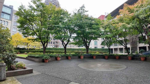 2304-183 Keefer Place, Vancouver, BC 