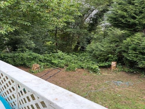 19753 Wildcrest Avenue, Pitt Meadows, BC 