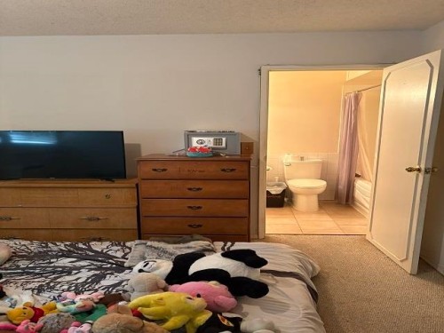 19753 Wildcrest Avenue, Pitt Meadows, BC 