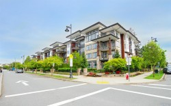 203-22562 121 Avenue  Maple Ridge, BC V2X 3Y8