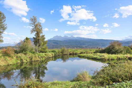 13540 Neaves Road, Maple Ridge, BC 