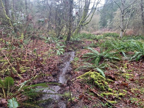 23180 Porlier Pass Road, Galiano Island, BC 