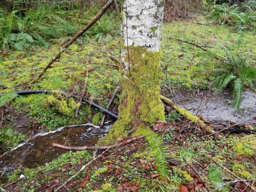 23180 Porlier Pass Road, Galiano Island, BC 