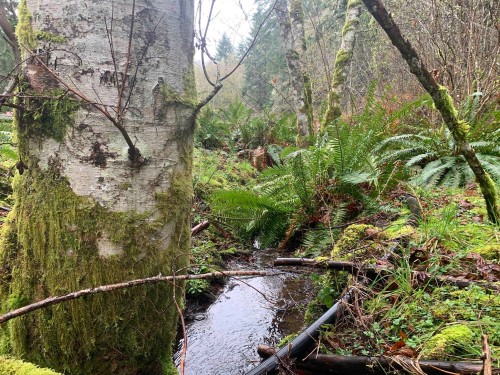 23180 Porlier Pass Road, Galiano Island, BC 