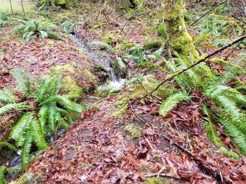 23180 Porlier Pass Road, Galiano Island, BC 