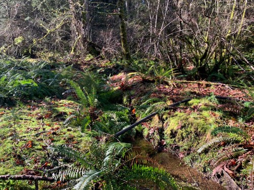 23180 Porlier Pass Road, Galiano Island, BC 