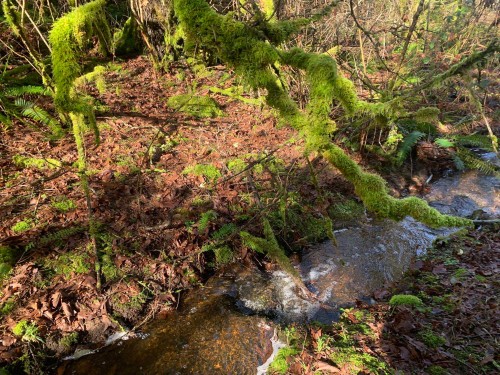 23180 Porlier Pass Road, Galiano Island, BC 