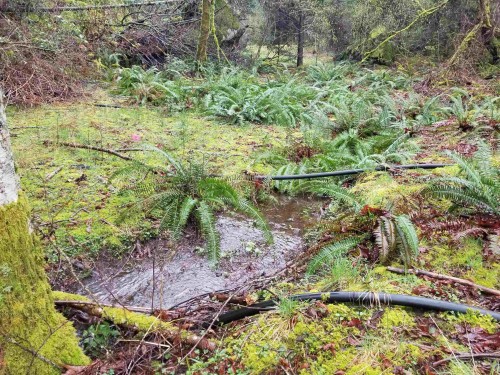 23180 Porlier Pass Road, Galiano Island, BC 