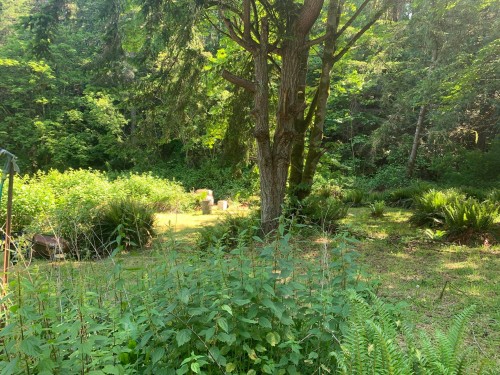 23180 Porlier Pass Road, Galiano Island, BC 