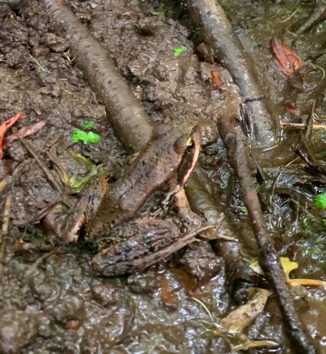 23180 Porlier Pass Road, Galiano Island, BC 