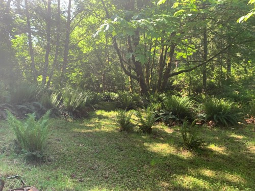 23180 Porlier Pass Road, Galiano Island, BC 