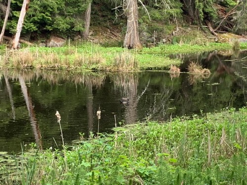 23180 Porlier Pass Road, Galiano Island, BC 