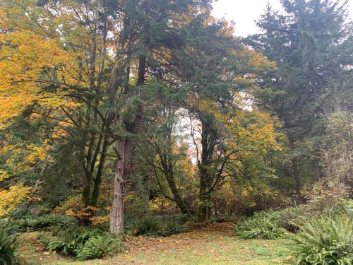 23180 Porlier Pass Road, Galiano Island, BC 