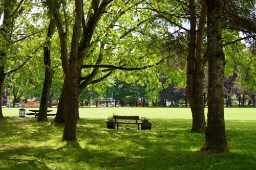 9551 Ryan Crescent, Richmond, BC 