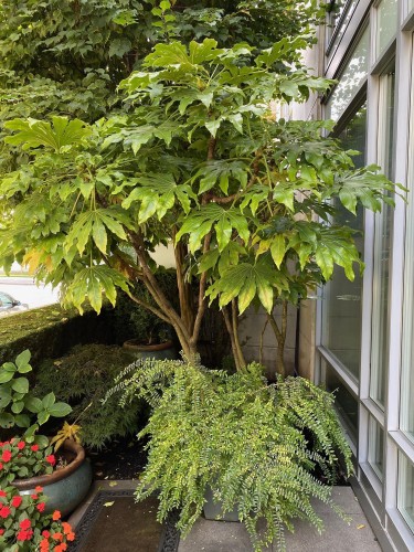 410 Beach Crescent, Vancouver, BC 