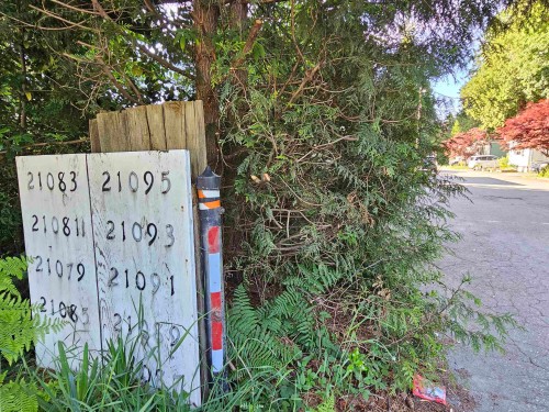 3-21091 Lougheed Highway, Maple Ridge, BC 