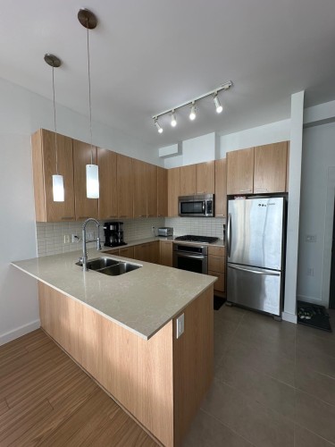 302-2955 Atlantic Avenue, Coquitlam, BC 