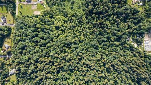 11885 264 Street, Maple Ridge, BC 