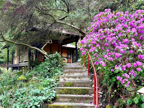 398 East Point Road, Saturna Island, BC 