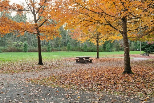 2994 Mt Seymour Parkway, North Vancouver, BC 