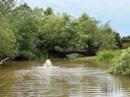 322-12339 Steveston Highway, Richmond, BC 