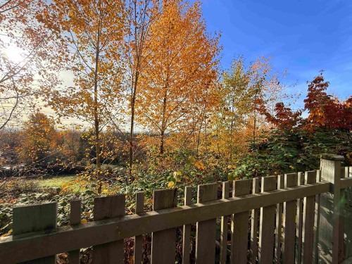 46-1295 Soball Street, Coquitlam, BC 