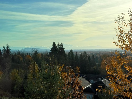 46-1295 Soball Street, Coquitlam, BC 