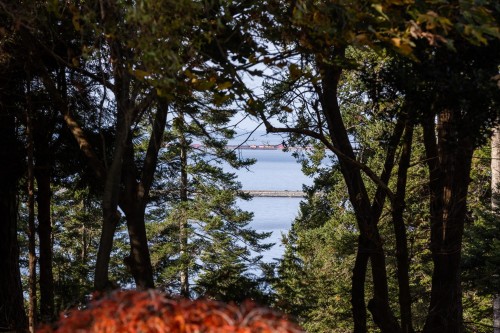 535 English Bluff Road, Delta, BC 