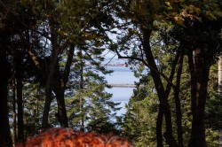 535 English Bluff Road  Delta, BC V4M 2M9