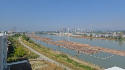 58-10333 River Drive  Richmond, BC V6X 0X4