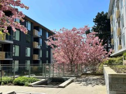 609-7428 Alberta Street  Vancouver, BC V5X 0J5