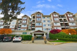 211-19677 Meadow Gardens Way  Pitt Meadows, BC V3Y 0A2