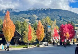 302-4338 Main Street  Whistler, BC V8E 1B4