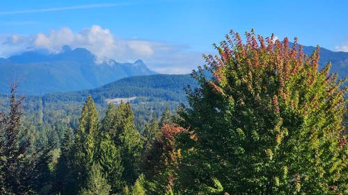 25580 Godwin Drive, Maple Ridge, BC 