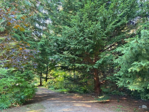 980 Woodley Road, Roberts Creek, BC 