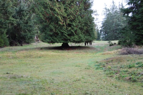 Lot 9 Mountain Road, Gambier Island, BC 